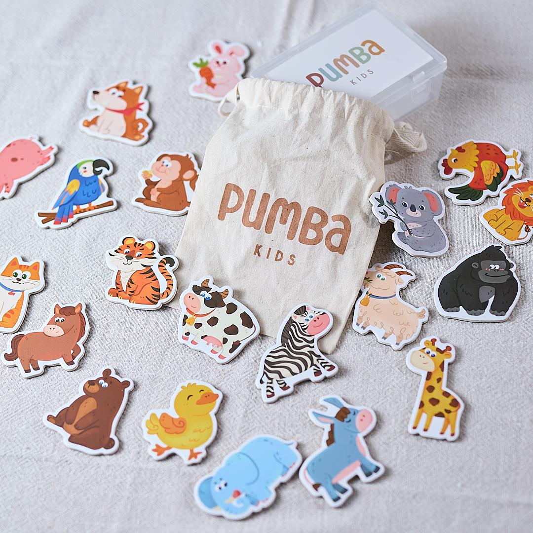 Set de Animales Magnéticos